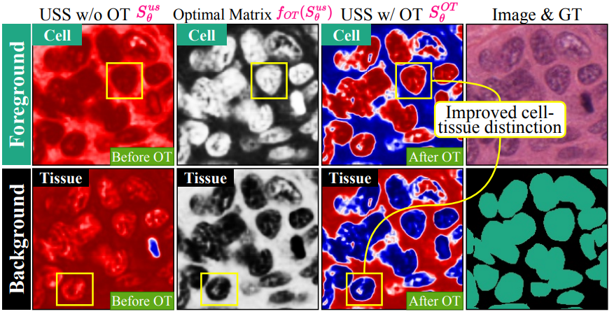 Step 1 comparison: USS without OT vs with OT showing improved cell-tissue distinction