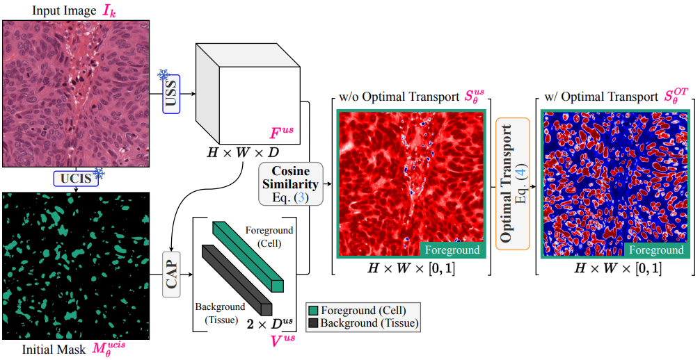 Step 1 pipeline: USS + Optimal Transport on the initial mask