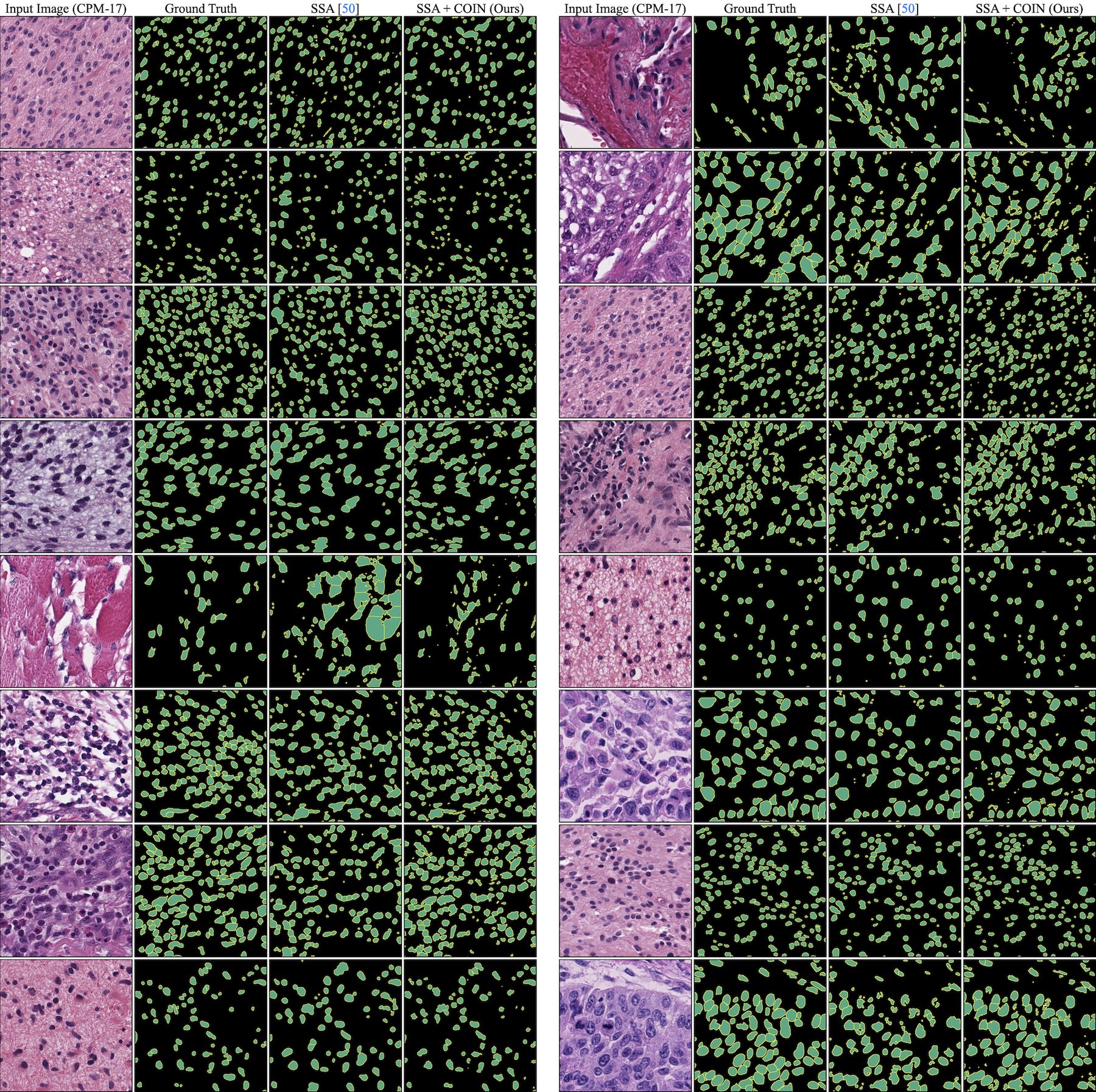 Qualitative results on CPM