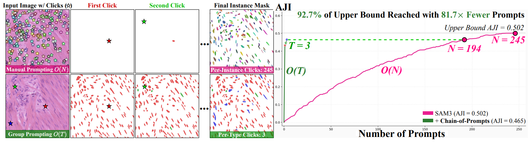 Figure 2: Group Prompting O(T) vs. per-instance prompting O(N) on CoNSeP/test_2, with AJI vs. number of prompts