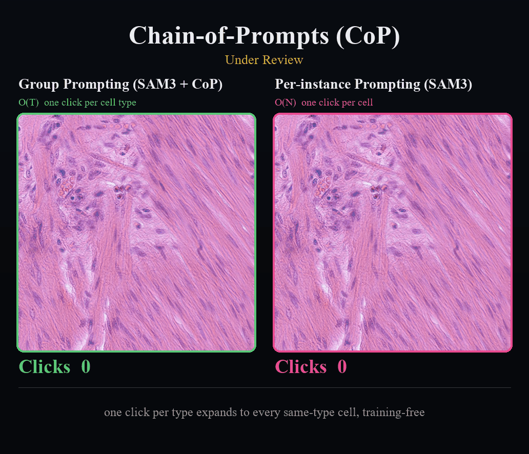 Group Prompting (SAM3 + CoP) segments every cell in 3 clicks; per-instance prompting keeps clicking to 245
