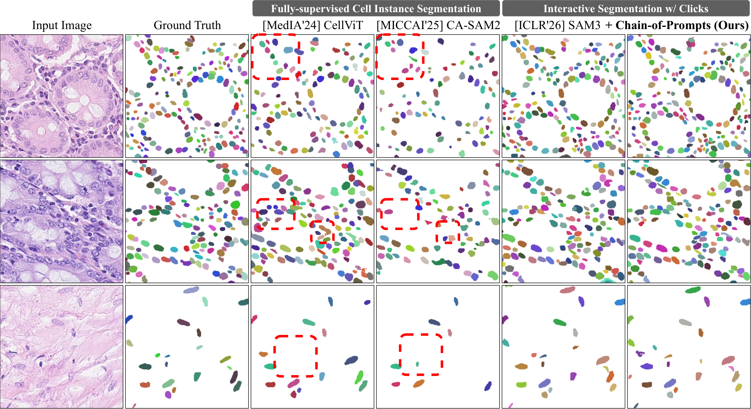 Qualitative comparison on CoNIC